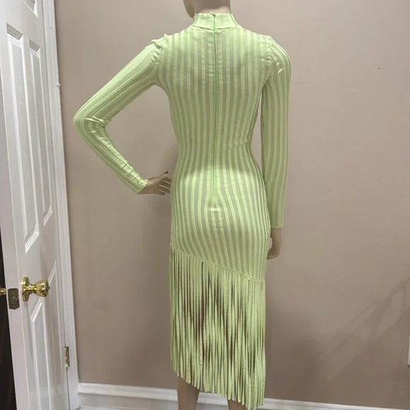 Ronny Kobo Lime Green Adkins Knit Fringe Dress - Picture 7 of 17